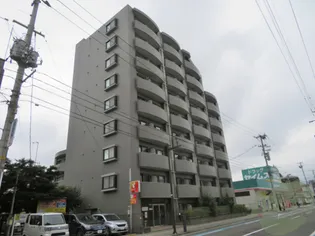 LaDouceur宮町【4階】の外観