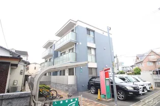 ヴィオラの画像