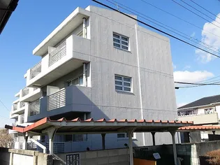 ファルコンの画像