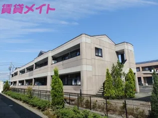 ピアリーの画像