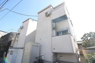 STELLATOの画像