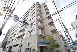 アリス・マナーガーデン谷町【7階】の外観
