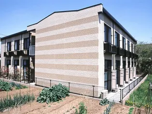 メイプルの画像