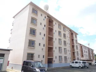 第1辻ハイツ【3階】の外観