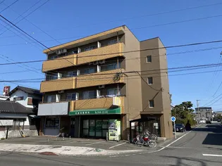 ブリスベンハイツ【2階】の外観