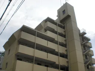 メゾン川端【5階】の外観