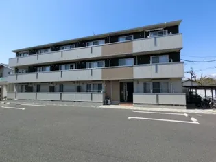 ヴィクトワールの画像