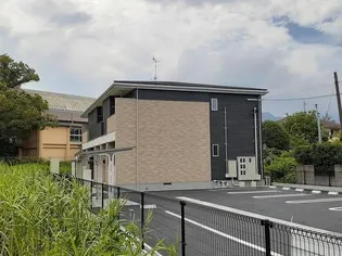 サンシャイン スズの画像