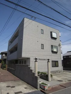 グレース和泉の画像