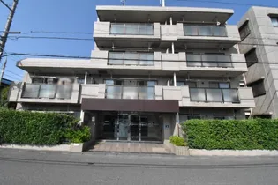 サエラ宮原の画像