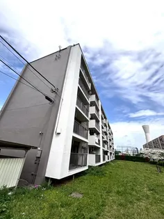 富士見町住宅28号棟の画像