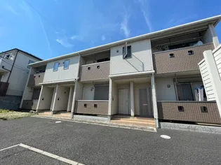 ニューコルティーレの画像