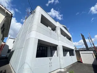 プチ 桃の画像