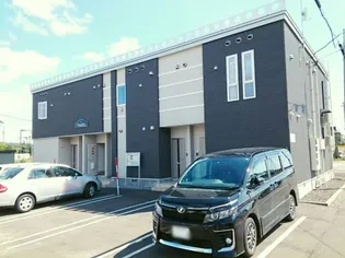 プラシードの画像