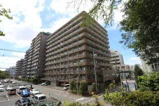 埼玉県さいたま市南区南本町1【マンション】の外観