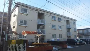 セントラルピラーの画像