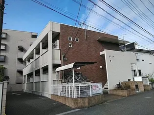 リーヴ ルピナスの画像