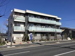 リオリエント花水木の画像