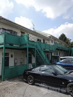 ハウスグリーンの画像