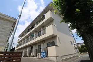 マンハイム 24の画像