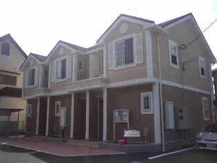 プリムラの画像