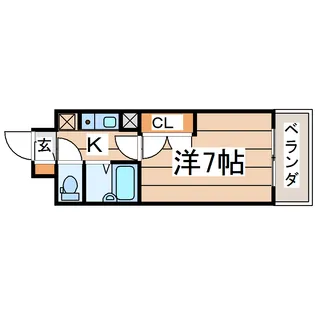 ベルシティ新寺【6階】の間取り