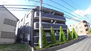 ブルーミングイーストの画像