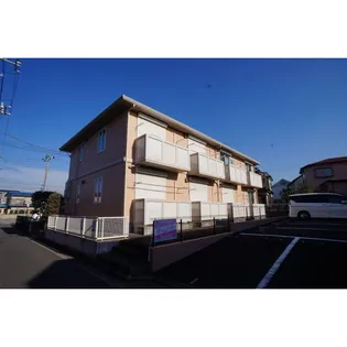 コスモスの画像