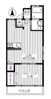 富士見台明星パレス【2階】の間取り