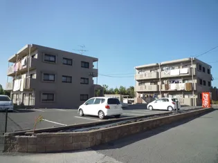 CASTLE SUNNY A【3階】の外観