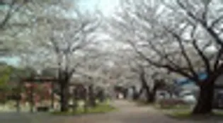 エンクレスト博多駅南BASE【5階】の周辺