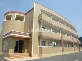 GOLD M KAMOの画像