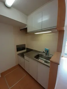 イーストユニゾン【1階】のキッチン