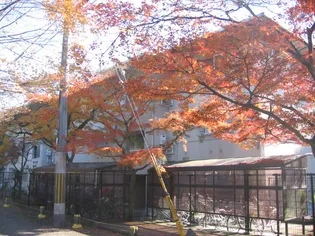 緑山荘A棟の画像