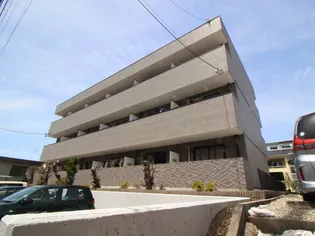 アムールフジの画像