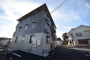 シェーン アネーロの画像