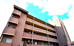 ガーデンヒルズ藍住II【4階】の外観