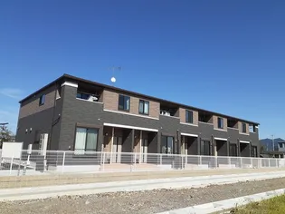 プラシードNの画像