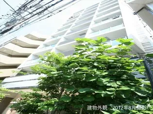 エフシティ亀戸の画像