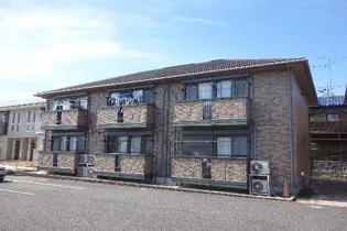 ノースステラの画像