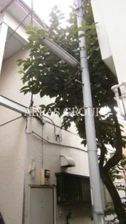 サンワコーポ【1階】の外観