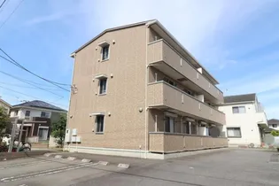 ラクーン ヒルの画像