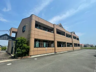 クローバーグリーンVの画像