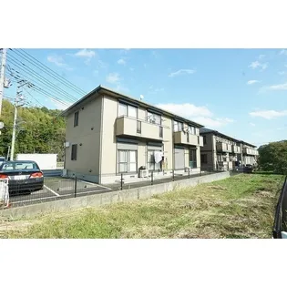 エバーグリーンの画像