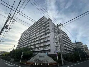 ダイアパレス立石【5階】の外観