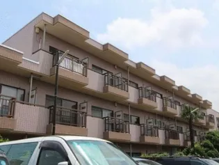 ブエナ ヴィスタの画像