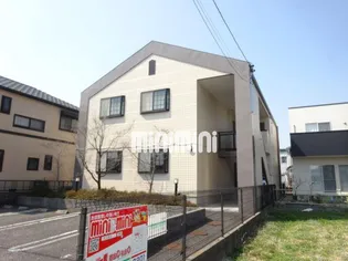 ハイビスカスの画像