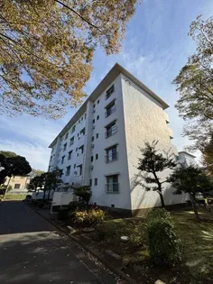 夏見台団地6号棟の画像