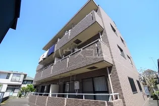 パールコートの画像