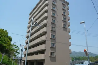 ウイングビルの画像